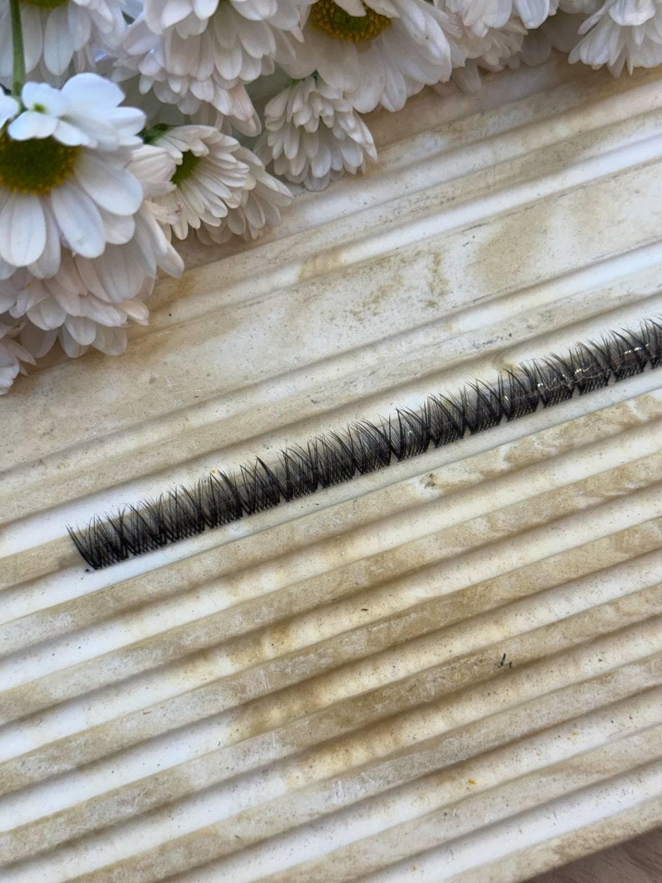 مژه فیشر