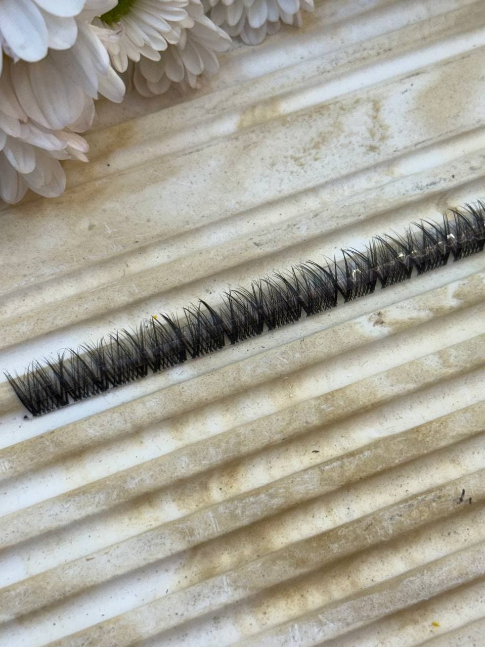 مژه فیشر