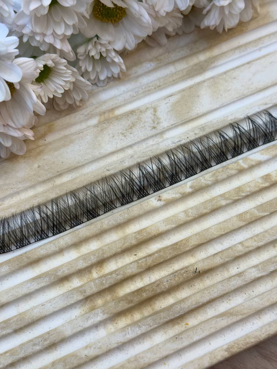 مژه فیشر