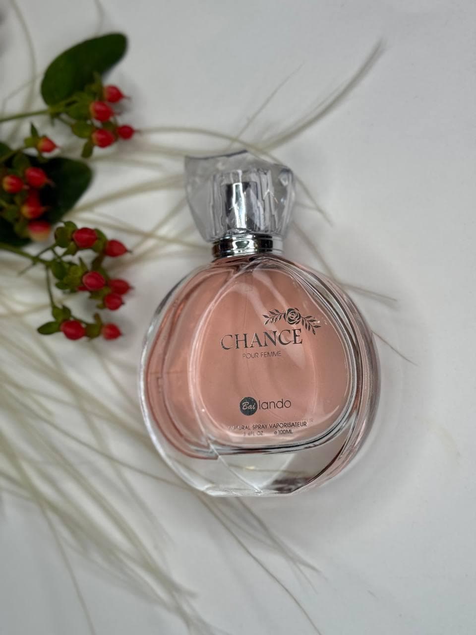 شنل (Chanel)