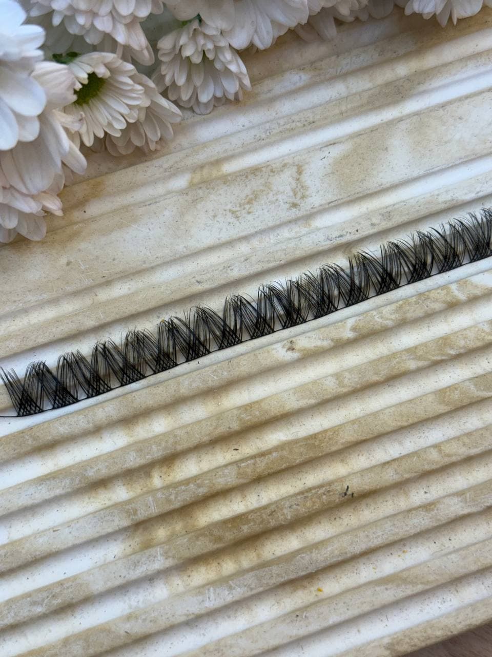 مژه فیشر