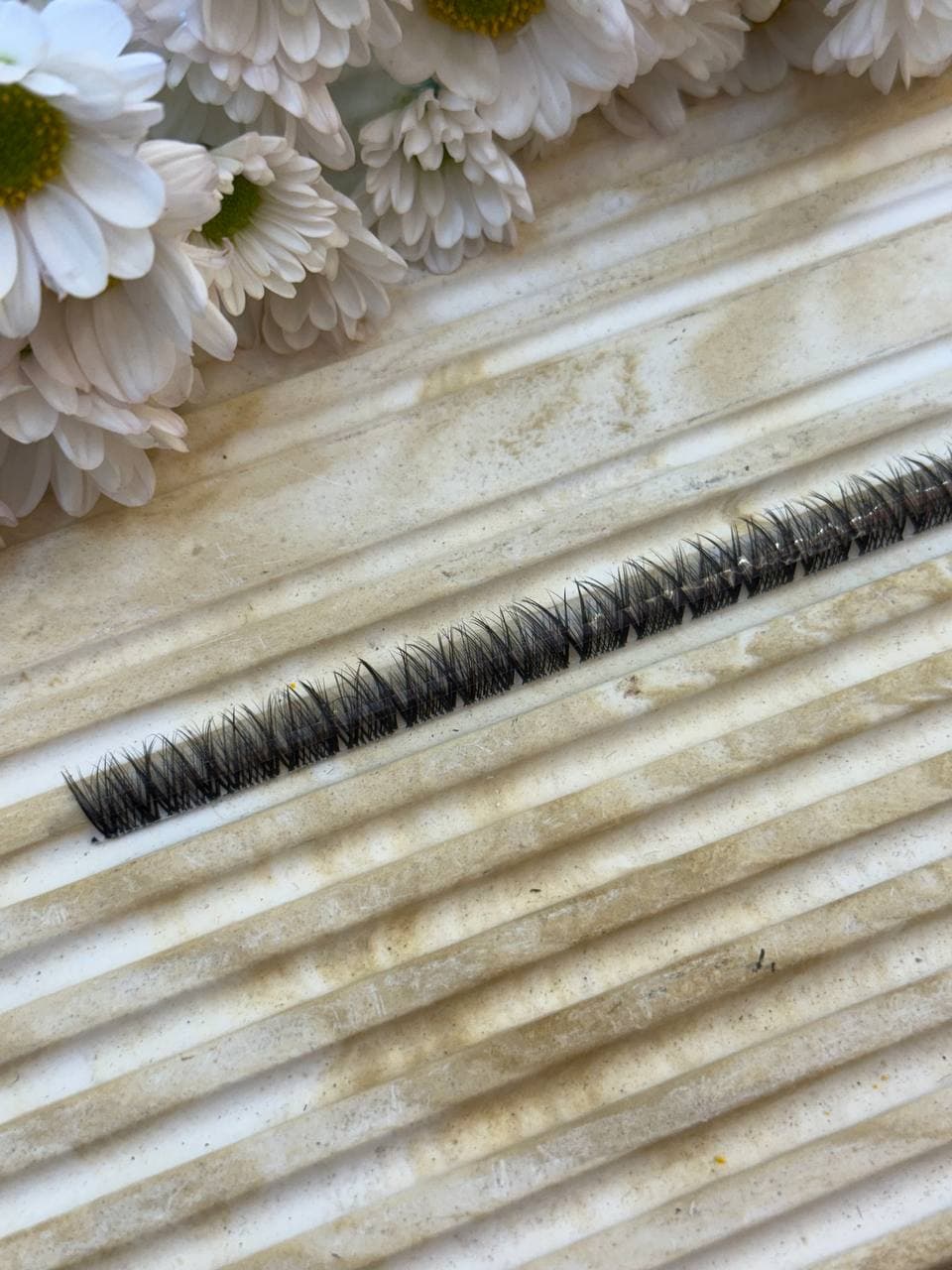 مژه فیشر