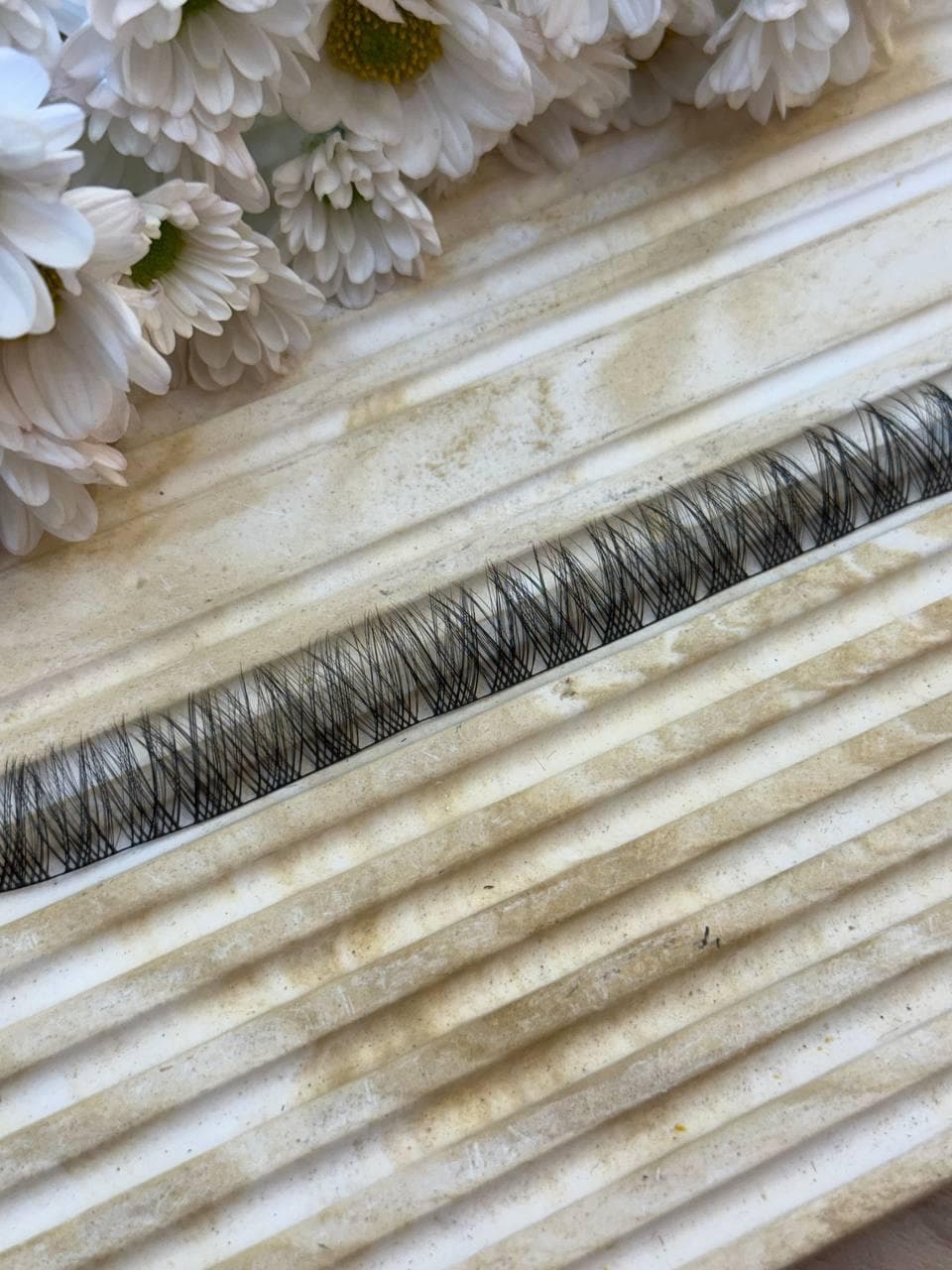 مژه فیشر