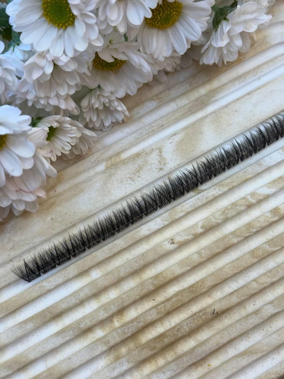مژه فیشر