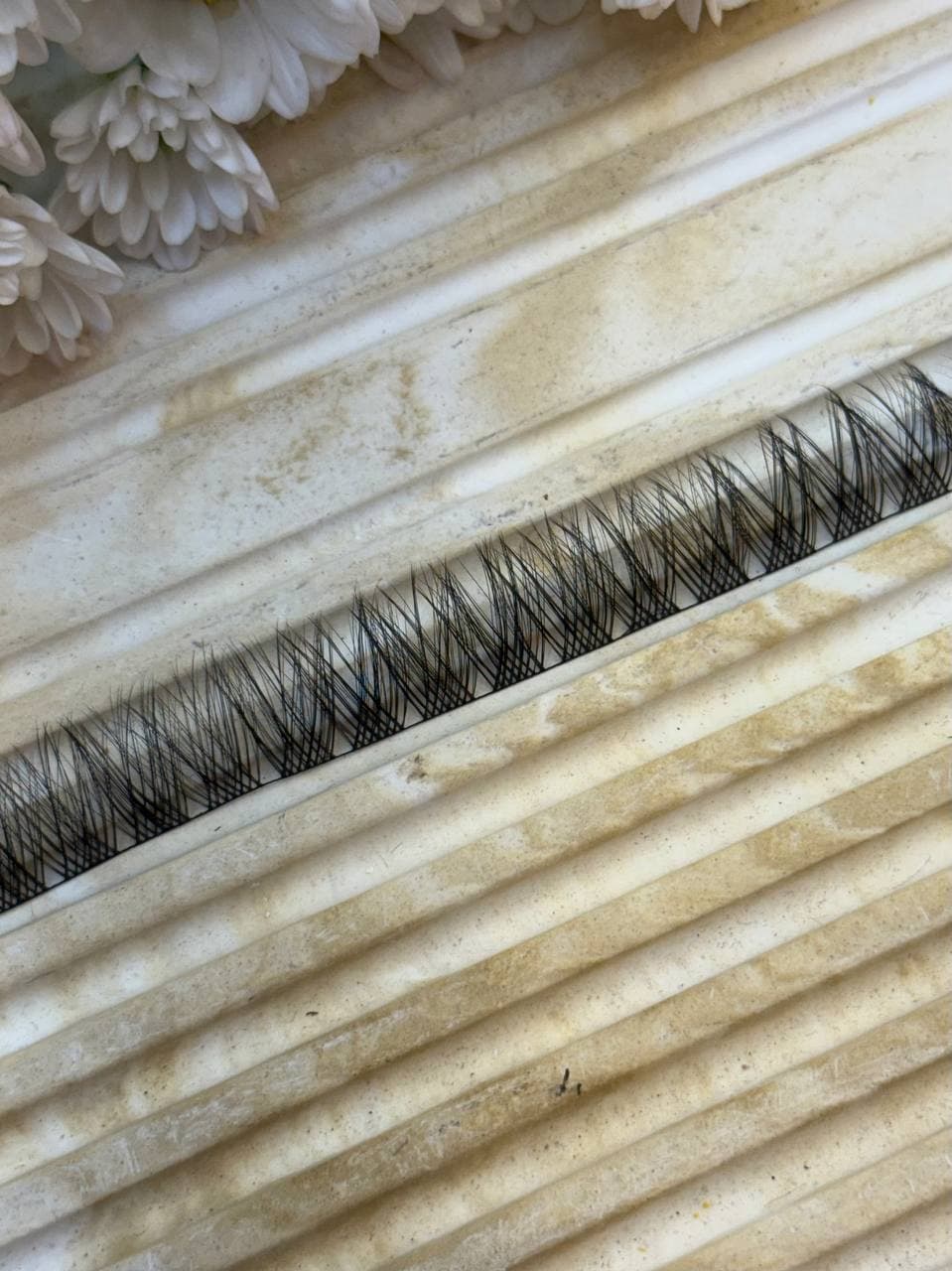 مژه فیشر