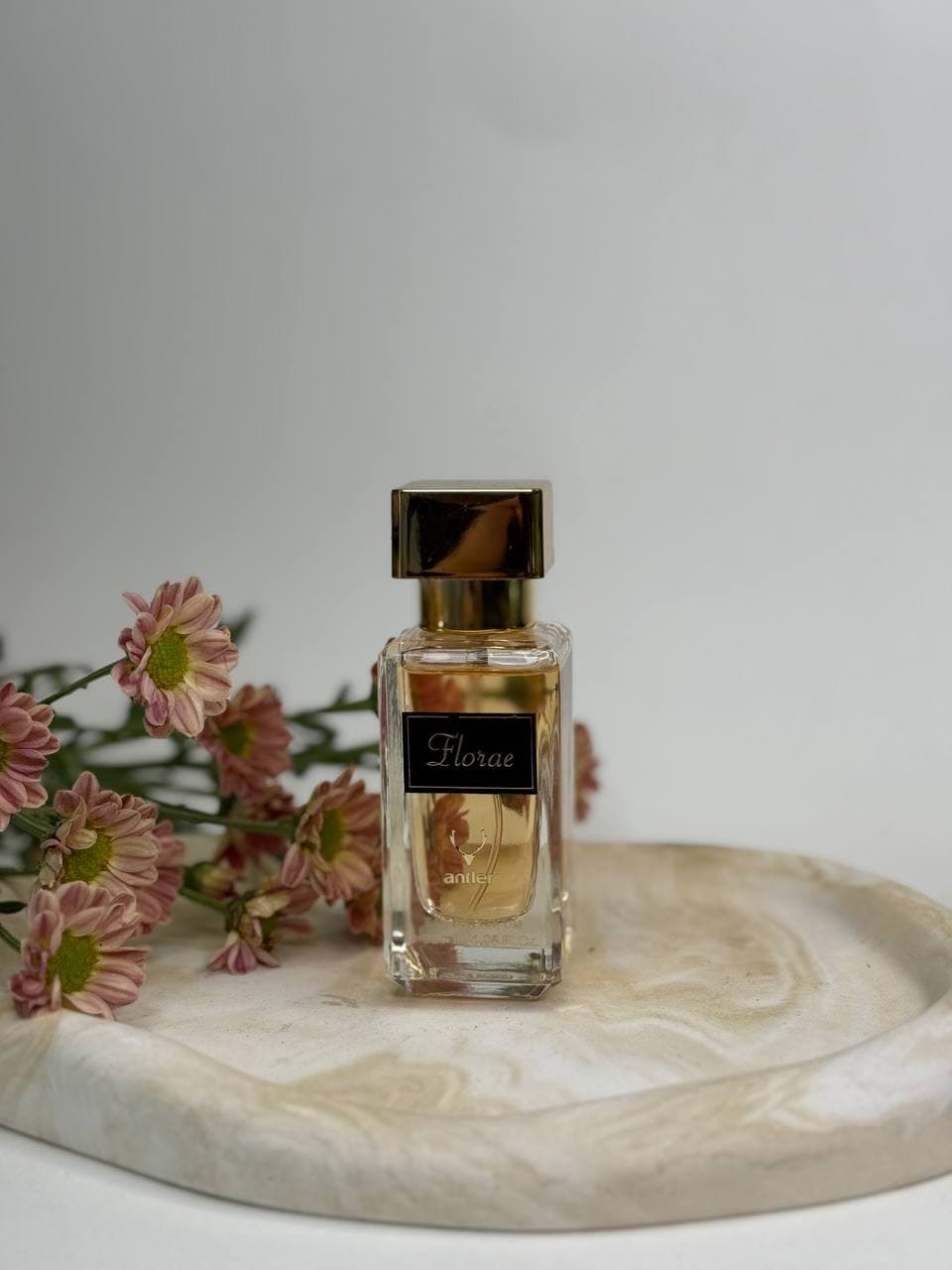 گوچی (Gucci)