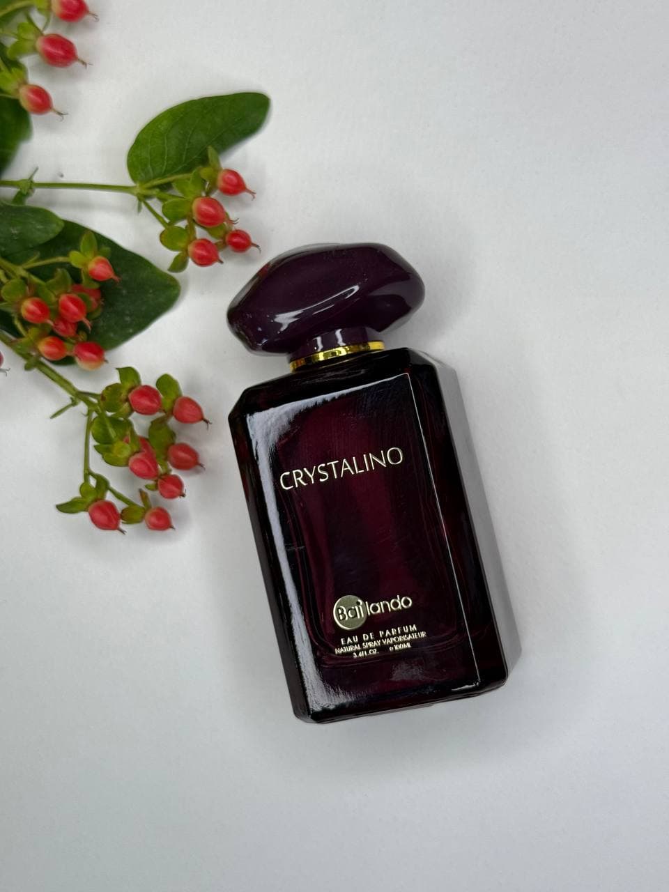 ورساچه (Versace)