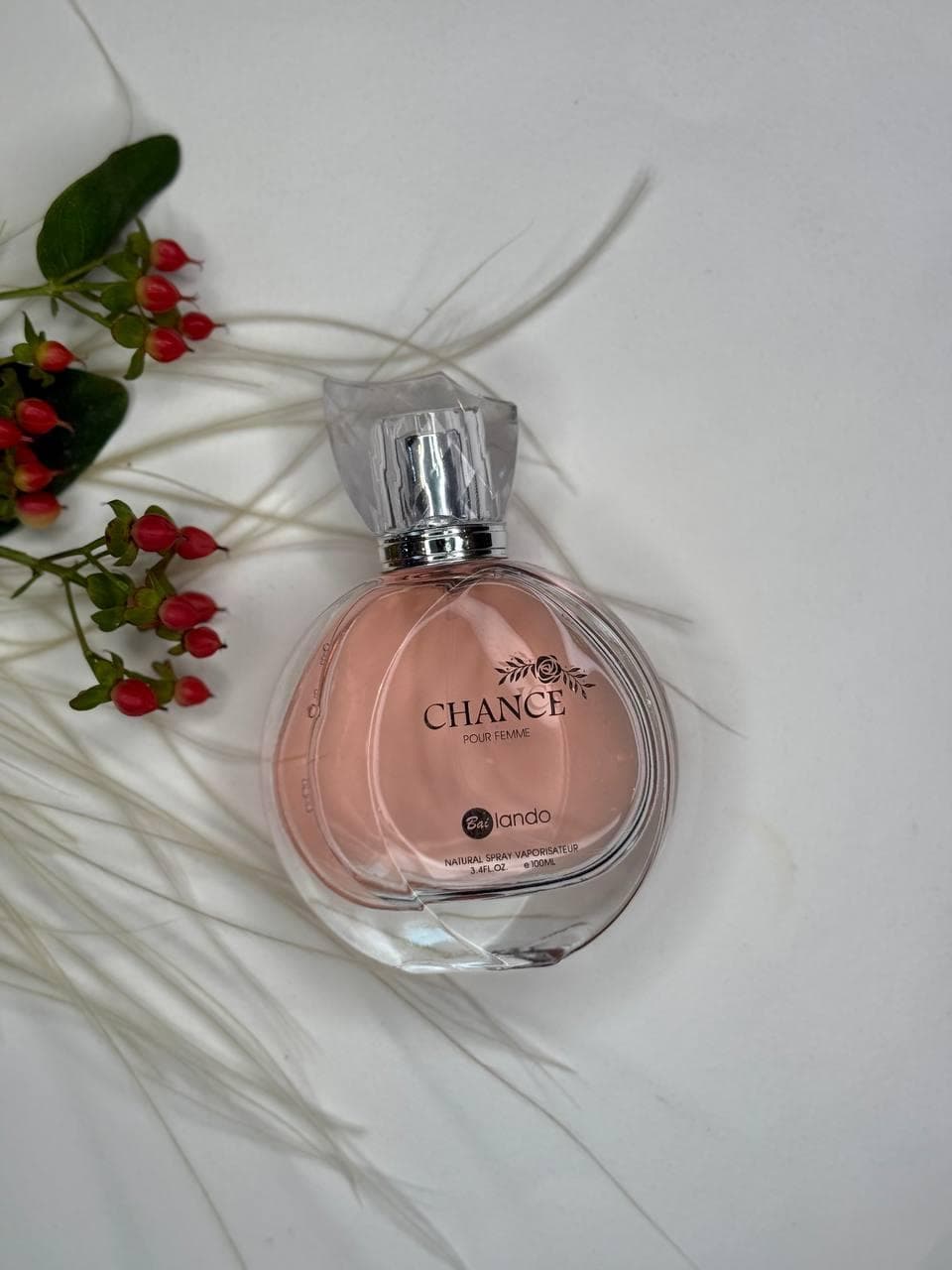شنل (Chanel)